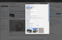ZenPress Screenshot: Writing a Post